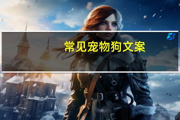常见宠物狗文案