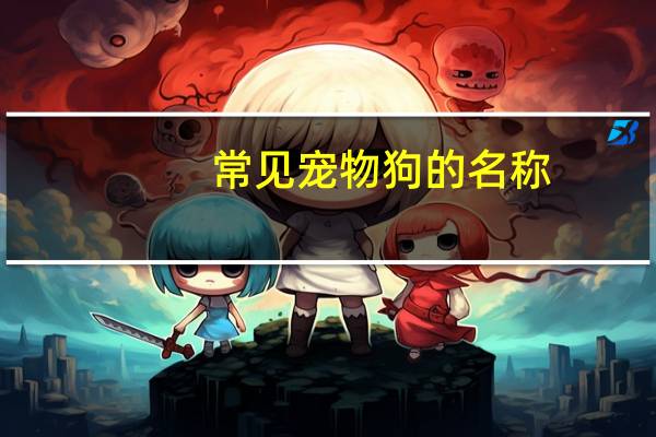 常见宠物狗的名称