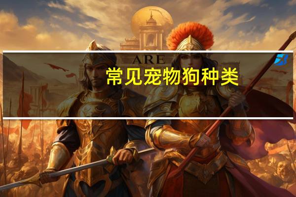 常见宠物狗种类