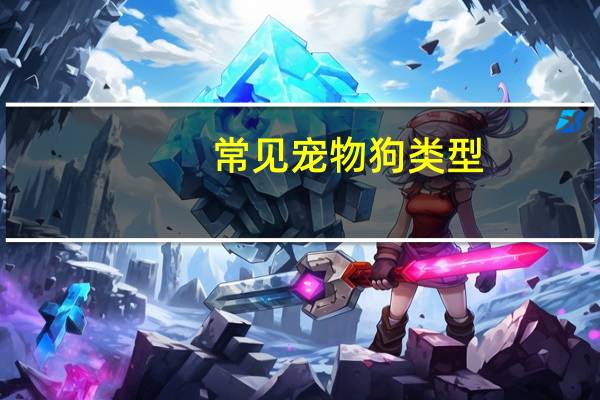 常见宠物狗类型