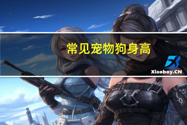 常见宠物狗身高