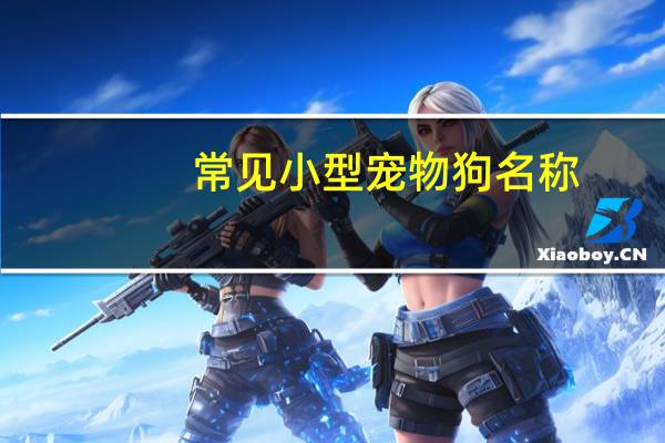 常见小型宠物狗名称