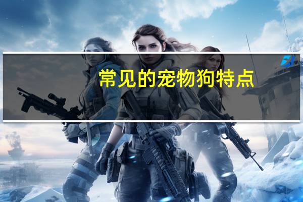 常见的宠物狗特点