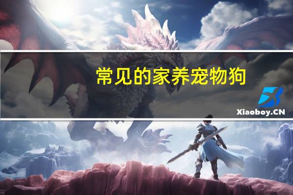 常见的家养宠物狗