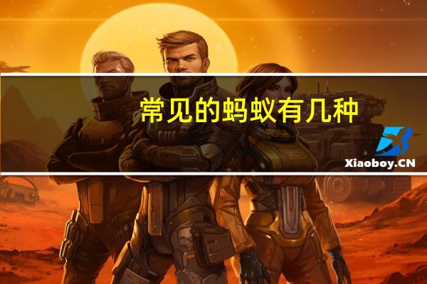 常见的蚂蚁有几种
