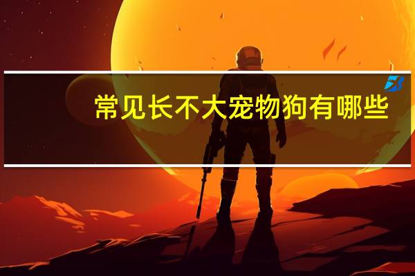 常见长不大宠物狗有哪些