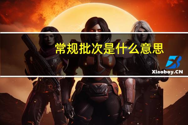 常规批次是什么意思