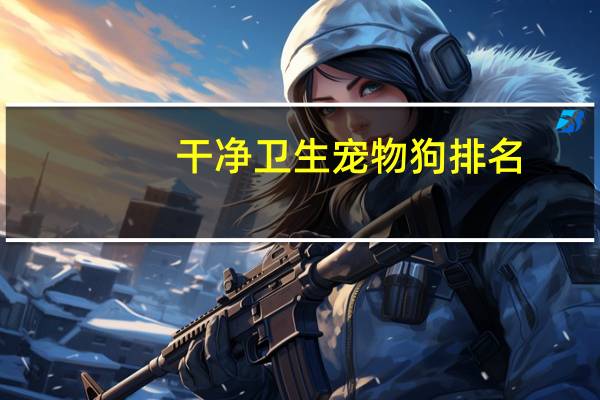 干净卫生宠物狗排名