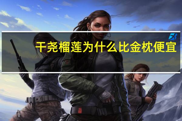 干尧榴莲为什么比金枕便宜(干尧榴莲为什么便宜)