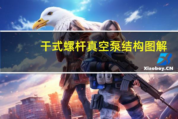 干式螺杆真空泵结构图解（干式螺杆真空泵结构）