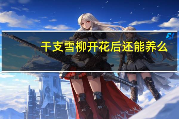 干支雪柳开花后还能养么