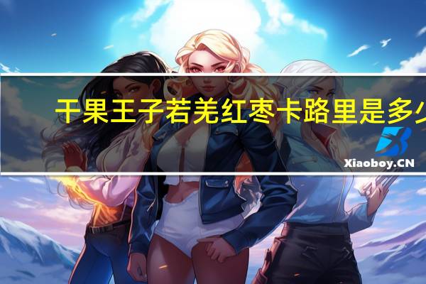 干果王子 若羌红枣卡路里是多少