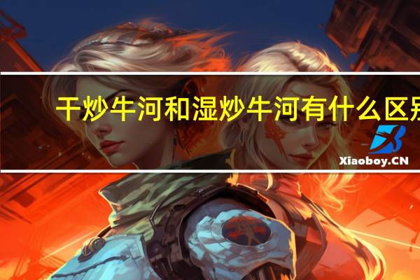 干炒牛河和湿炒牛河有什么区别