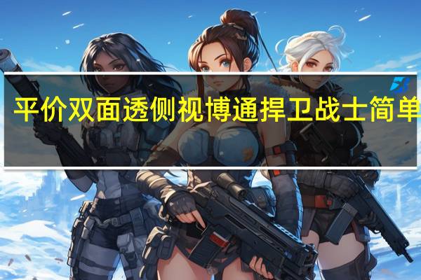 平价双面透侧视博通捍卫战士简单开箱