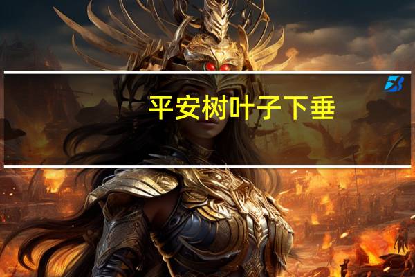 平安树叶子下垂：5大因素影响叶子下垂