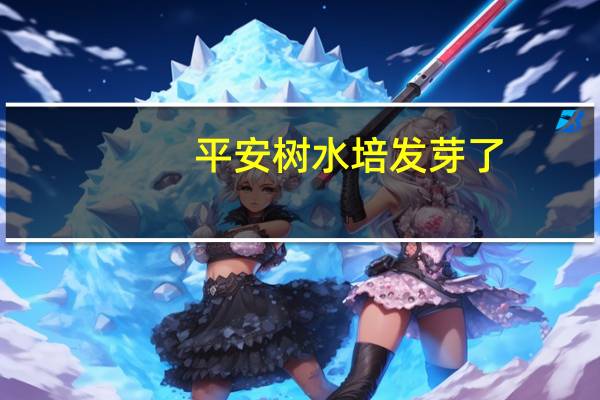 平安树水培发芽了