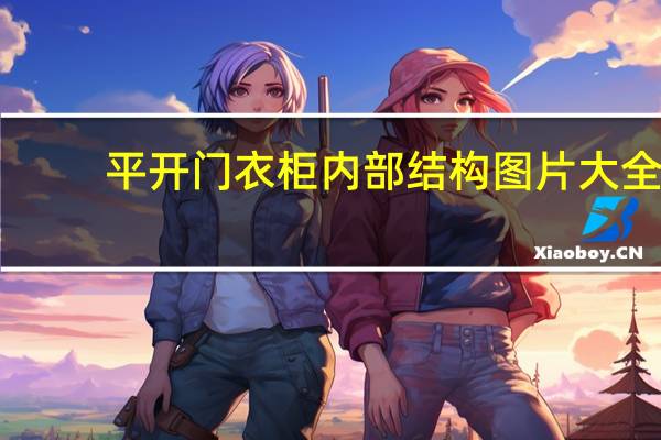 平开门衣柜内部结构图片大全（平开门衣柜内部结构）