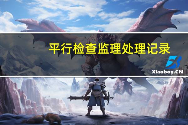平行检查监理处理记录（平行检查监理记录表）