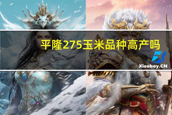 平隆275玉米品种高产吗