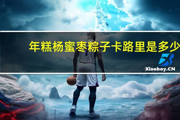 年糕杨 蜜枣粽子卡路里是多少