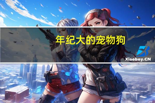 年纪大的宠物狗