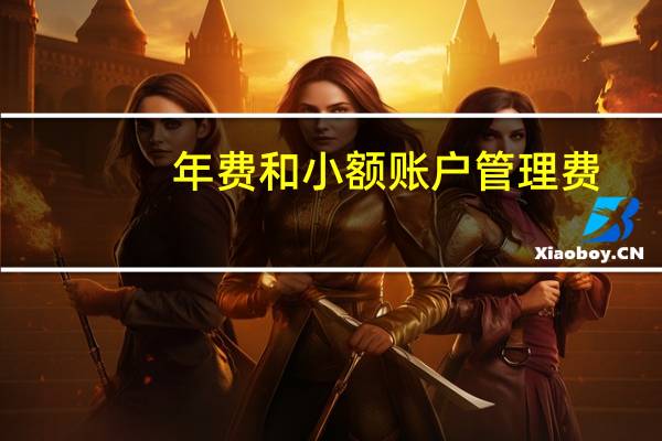 年费和小额账户管理费（年费和小额账户管理费）