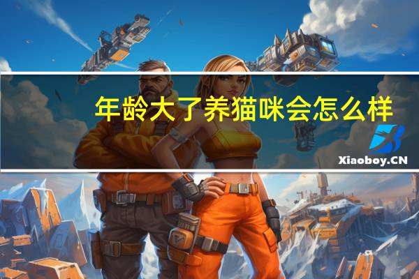 年龄大了养猫咪会怎么样