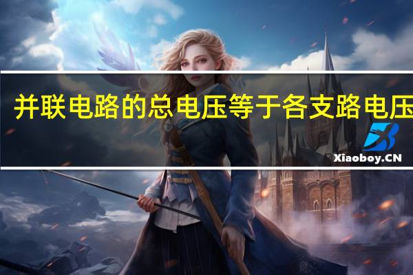 并联电路的总电压等于各支路电压之和
