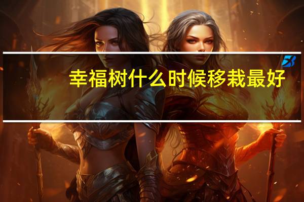 幸福树什么时候移栽最好