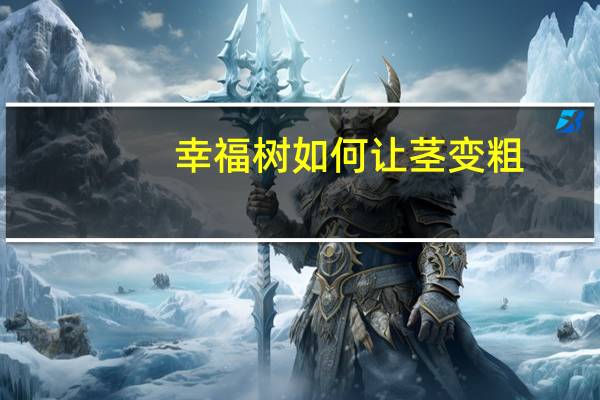 幸福树如何让茎变粗