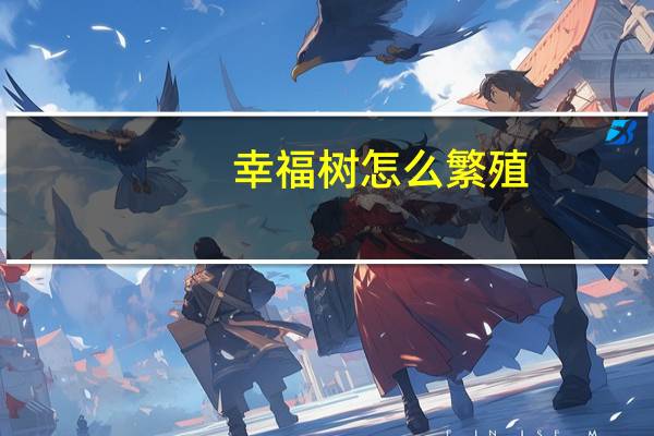 幸福树怎么繁殖,教你三种繁殖方法告别养殖烦恼