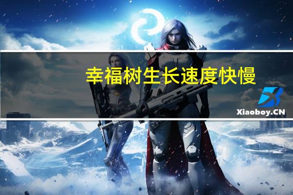 幸福树生长速度快慢