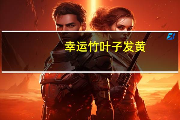幸运竹叶子发黄：注意水分及肥料的管理