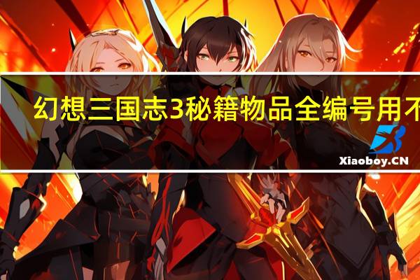 幻想三国志3秘籍物品全编号用不了（幻想三国志3乱码）