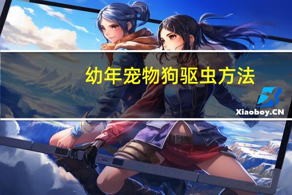 幼年宠物狗驱虫方法