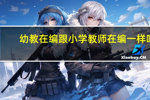 幼教在编跟小学教师在编一样吗