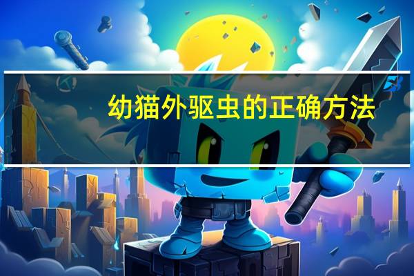 幼猫外驱虫的正确方法