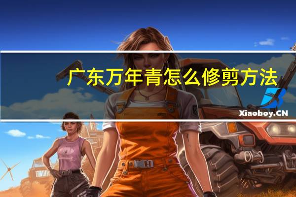 广东万年青怎么修剪方法