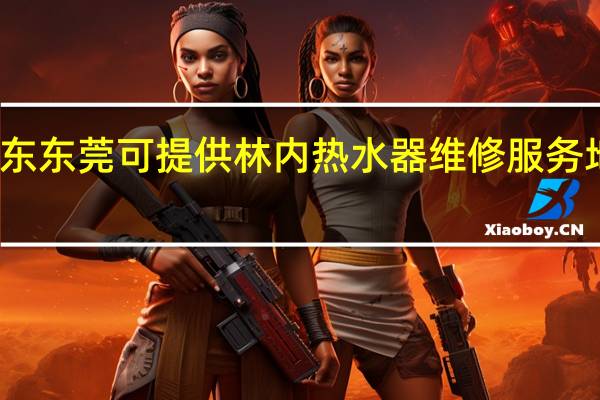 广东东莞可提供林内热水器维修服务地址在哪
