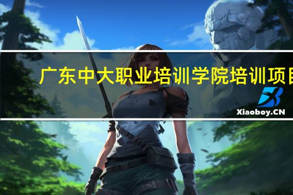 广东中大职业培训学院培训项目