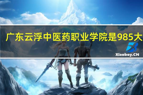 广东云浮中医药职业学院是985大学吗