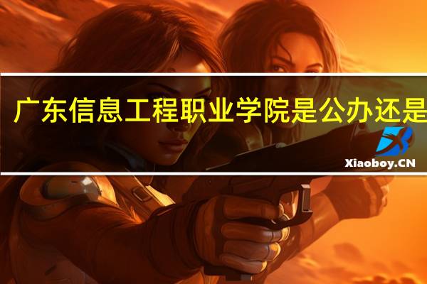 广东信息工程职业学院是公办还是民办