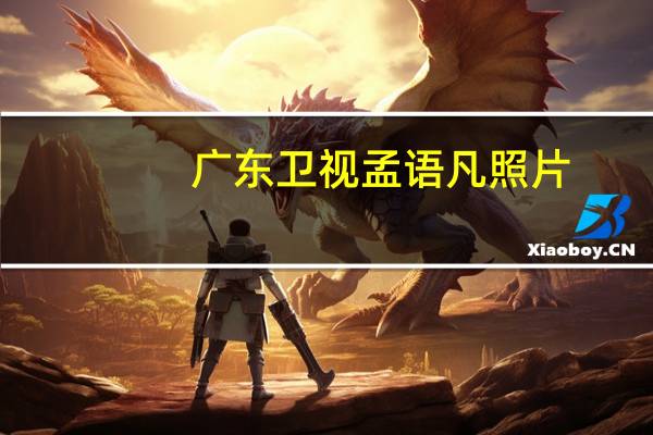 广东卫视孟语凡照片（广东卫视孟语凡简历）