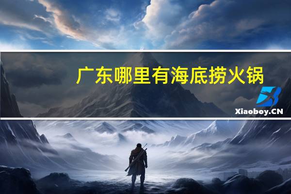 广东哪里有海底捞火锅（广州海底捞火锅地址）