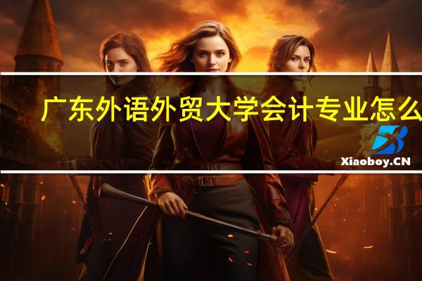 广东外语外贸大学会计专业怎么样