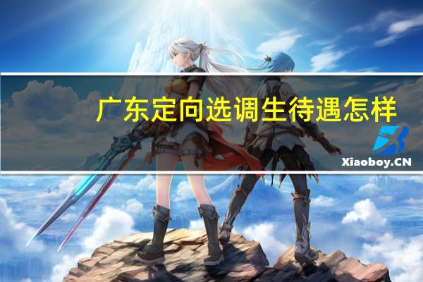 广东定向选调生待遇怎样