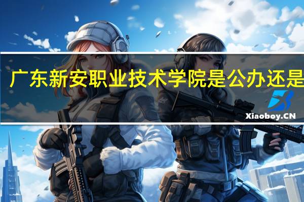 广东新安职业技术学院是公办还是民办