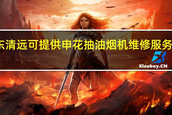 广东清远可提供申花抽油烟机维修服务地址在哪