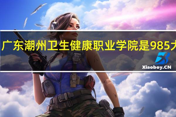 广东潮州卫生健康职业学院是985大学吗