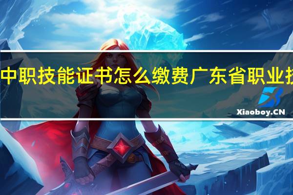 广东省中职技能证书怎么缴费 广东省职业技能鉴定中心